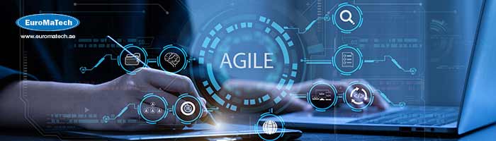 المرونة في المنظمات Agility in Organizations™