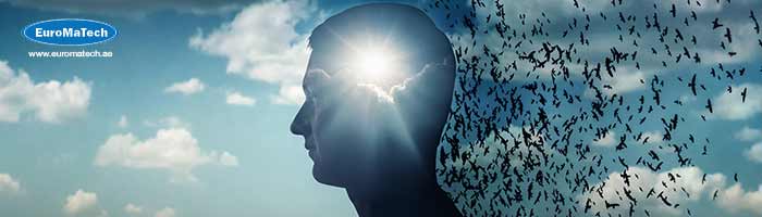 القيادة تحت الضغط وإدارة الأزمات الاستراتيجية